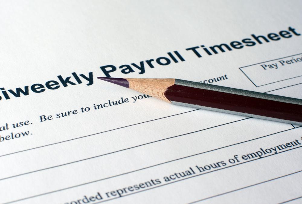 do it yourself payroll software